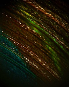 It looks shimmery even on here!