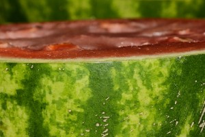 Watermelon is a favourite of my kids...