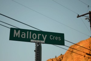 The green on the sign gets a little lost by the sky, but how could it not? Look at that beautiful sunshine!!