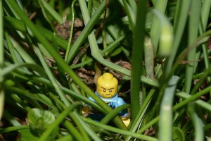 It''s a jungle out there!!